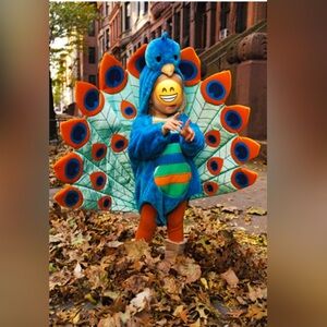 Kids Peacock Costume - Blue and Orange